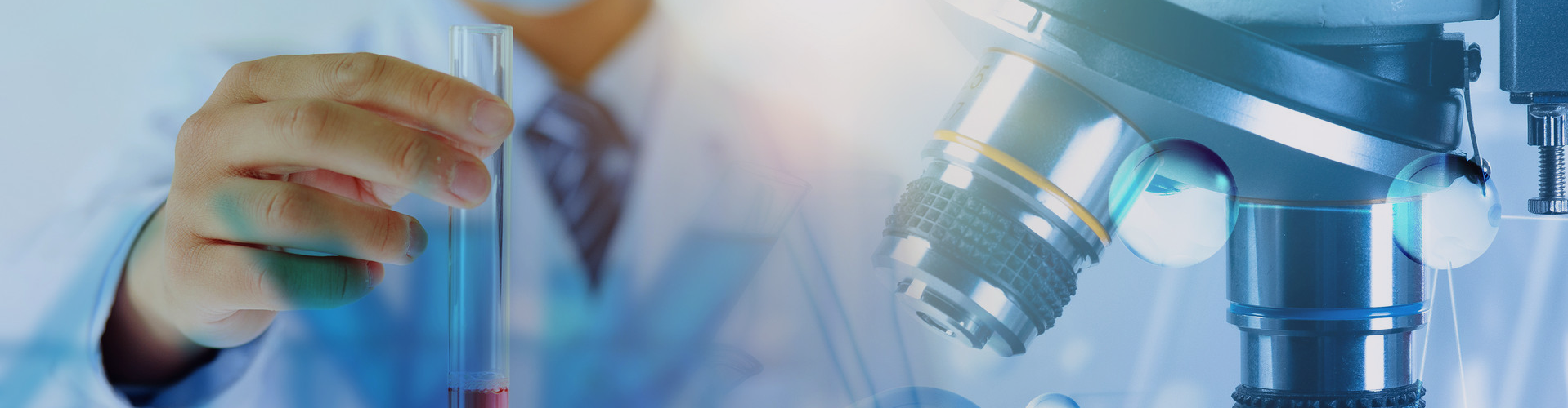 Website statement_Other _Bostal Drug Delivery Co., Ltd.